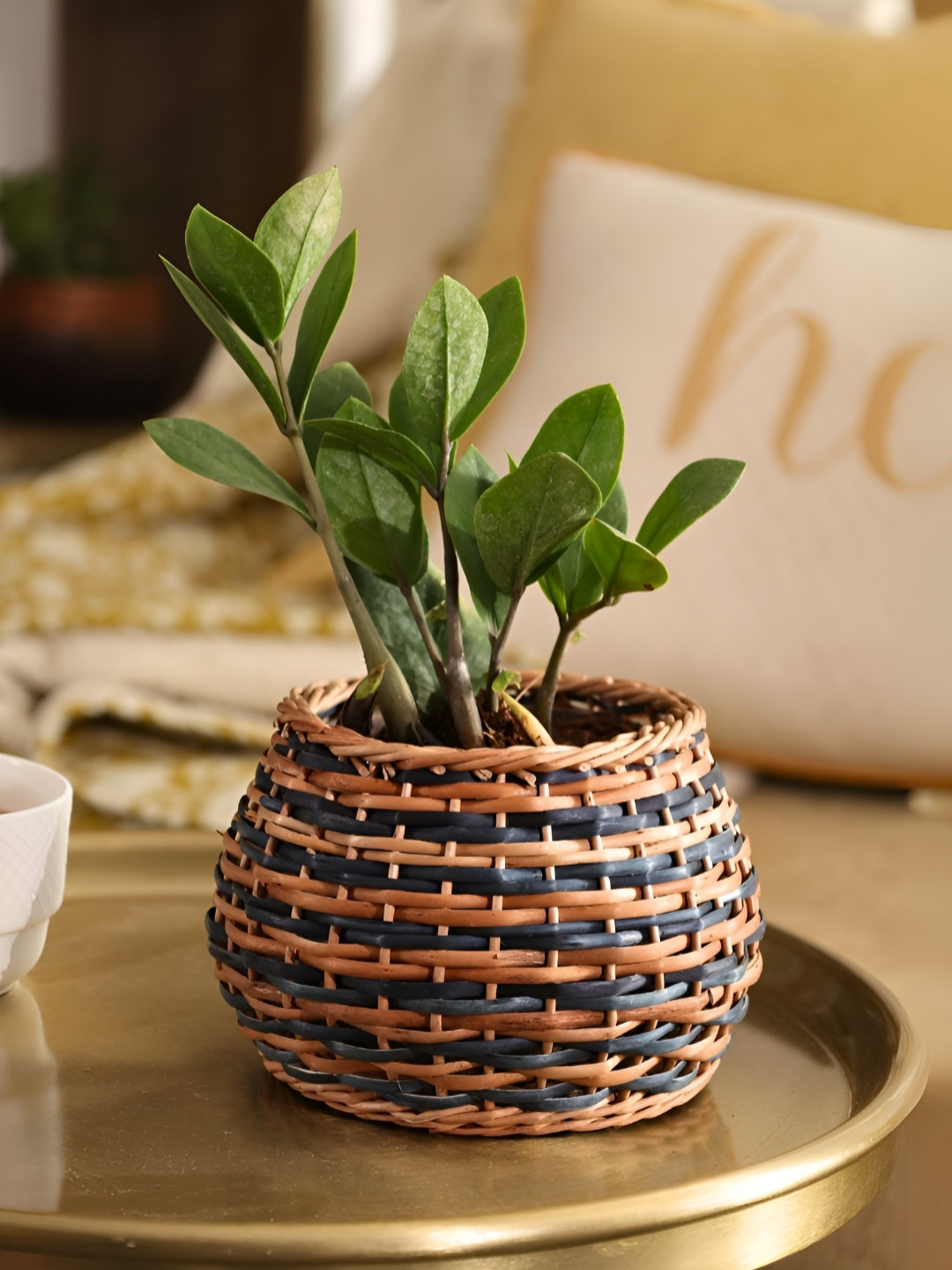 Peepul Tree Brown & Black Textured Wooden Wicker Planter