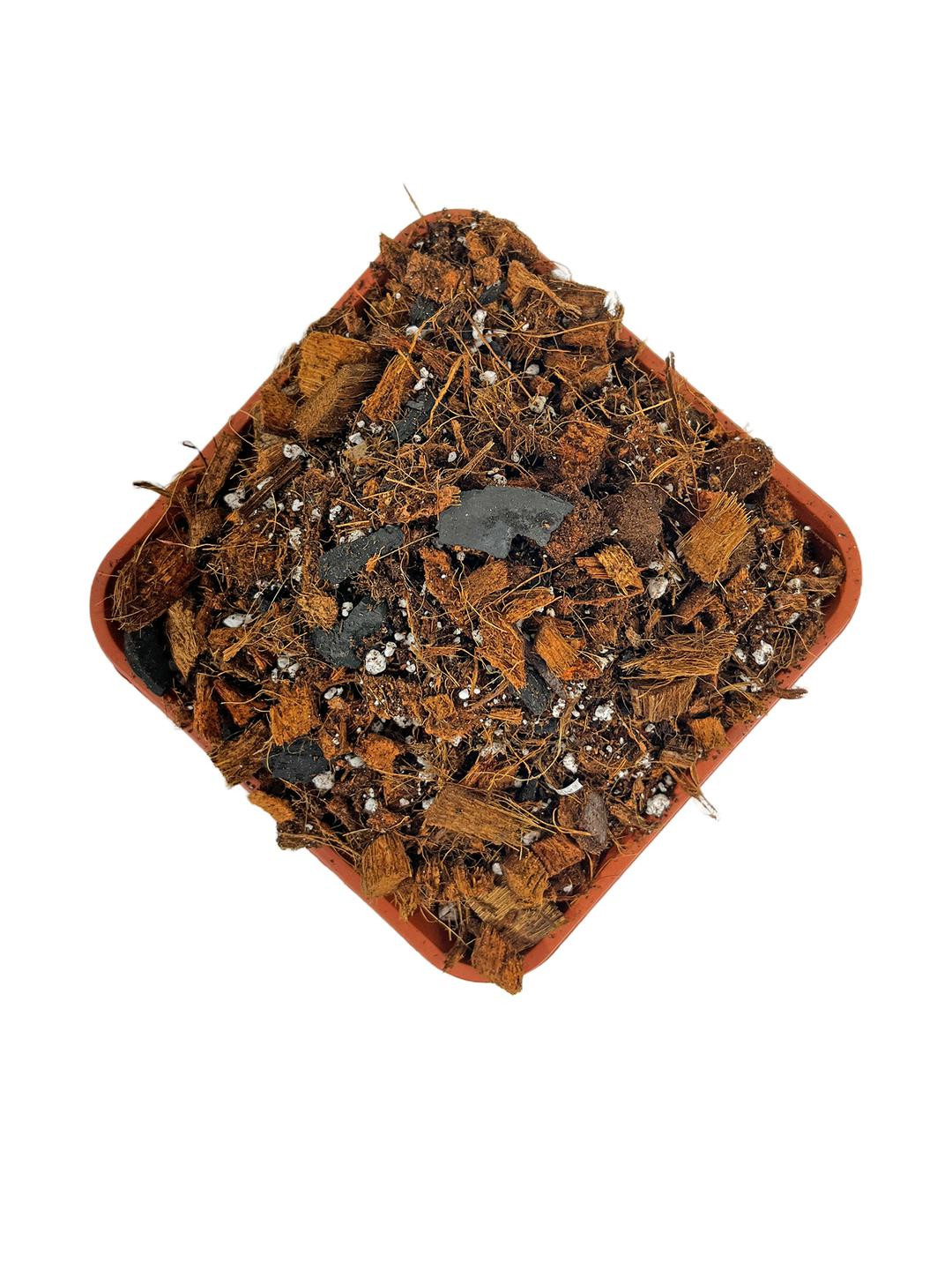 SUSHILA AGROFERT Orchid Potting Mixture for Plants 3 Kg Ready to Use Soil