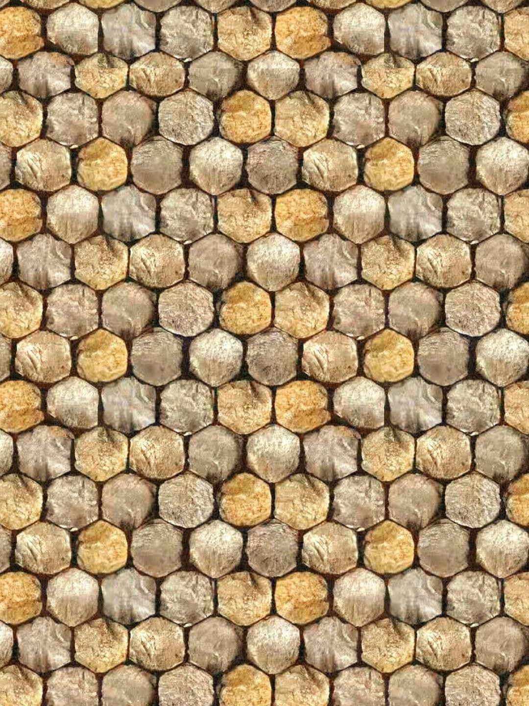 INDIAN ROYALS Decorative Brown Wallpaper