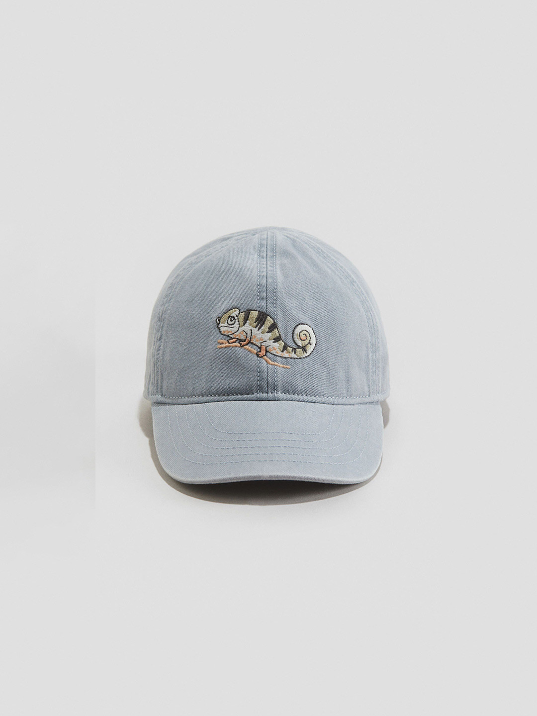 H&M Embroidery-Detail Twill Cap