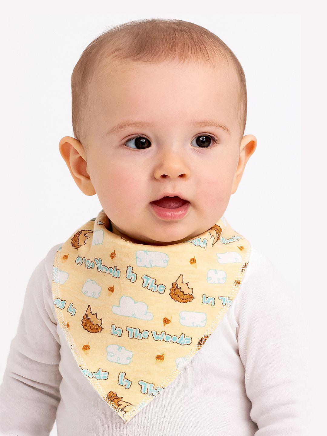 Little Surprise Box LLP Infants Pack Of 3 Hedgehog Printed bibs