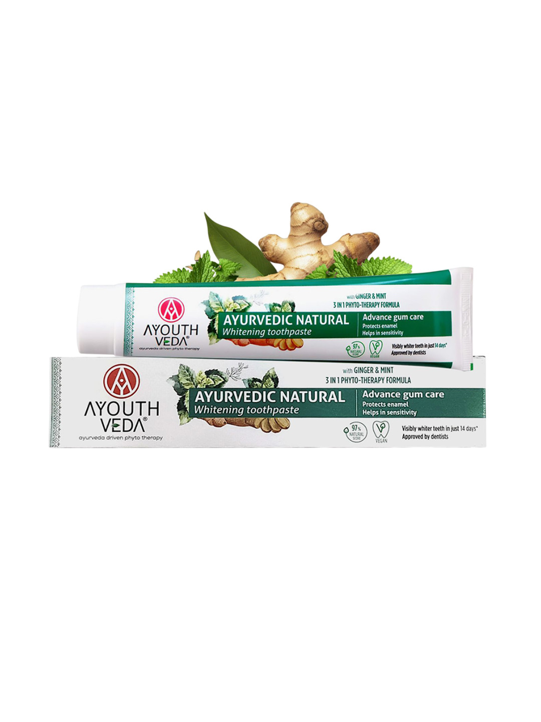 AYOUTHVEDA Set Of 2 Ayurvedic Natural Advance Gum Care Toothpaste - 100 g Each