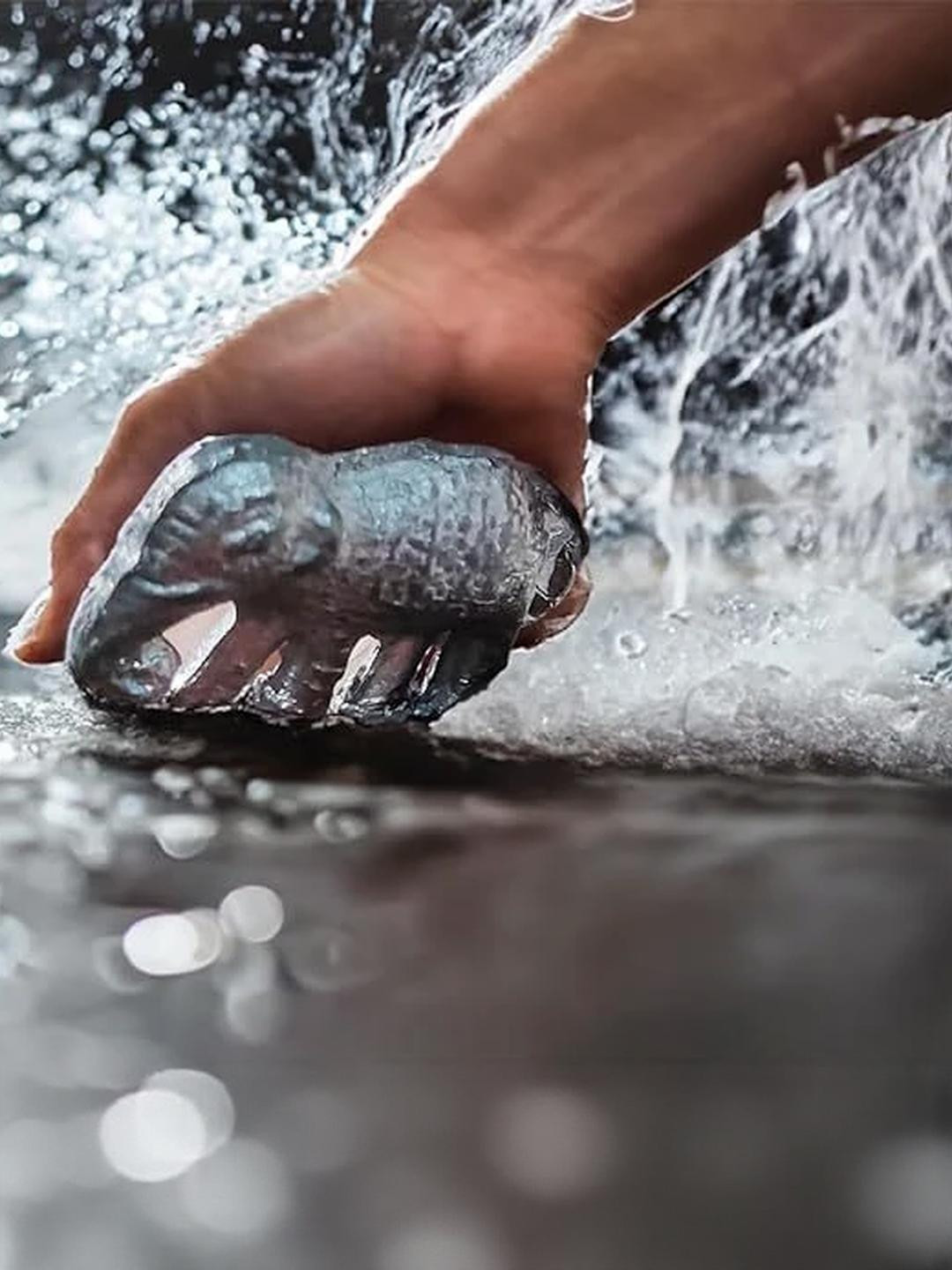 ASTRO-D hathi/Elephant Figurines 5 Pieces- for Floating in Water-