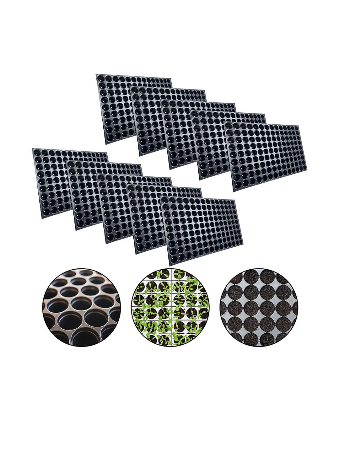 SUSHILA AGROFERT Wooden Seed Tray Garden Accessories