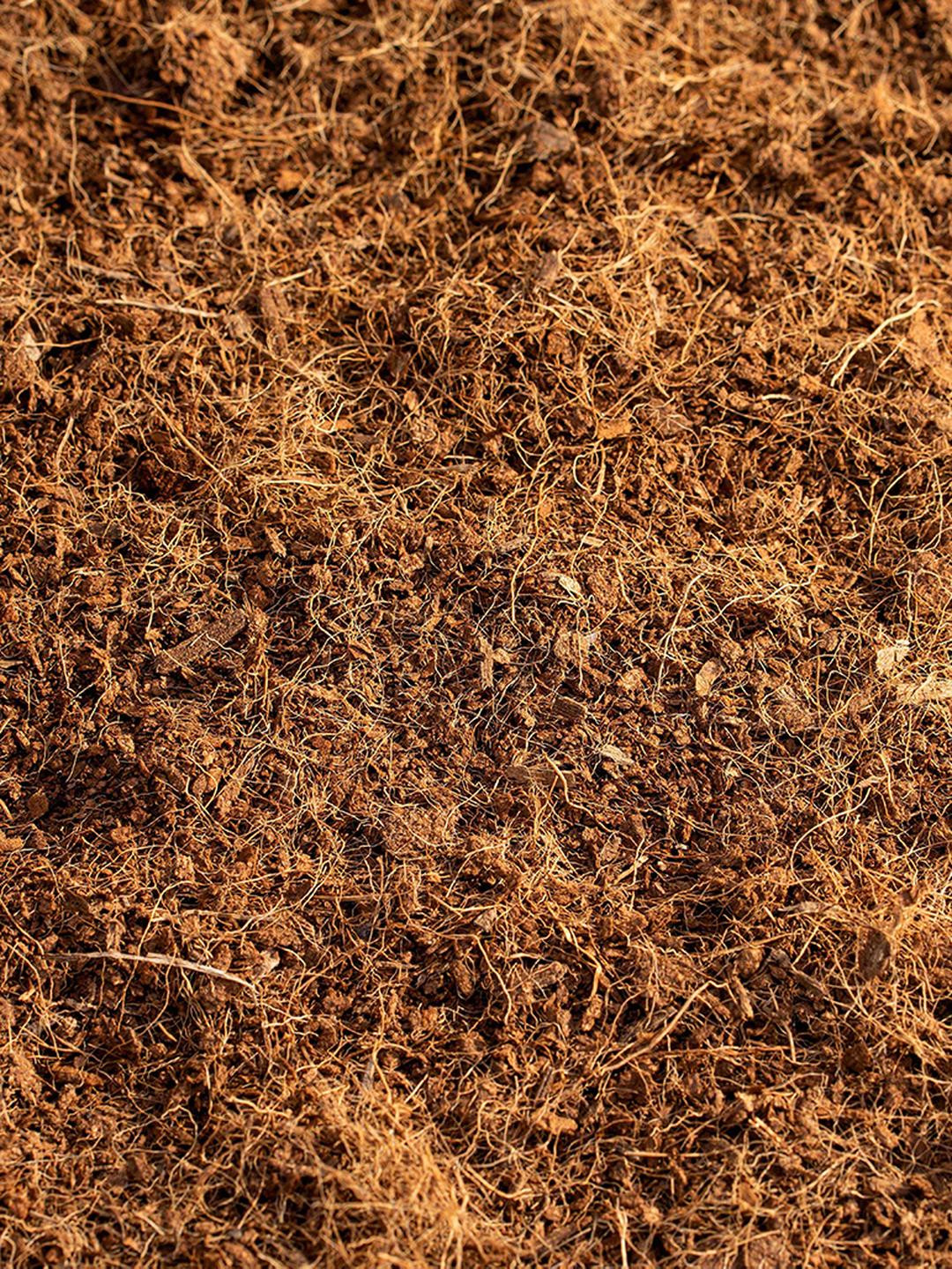 SUSHILA AGROFERT Peat Moss Garden Fertilizer 1kg