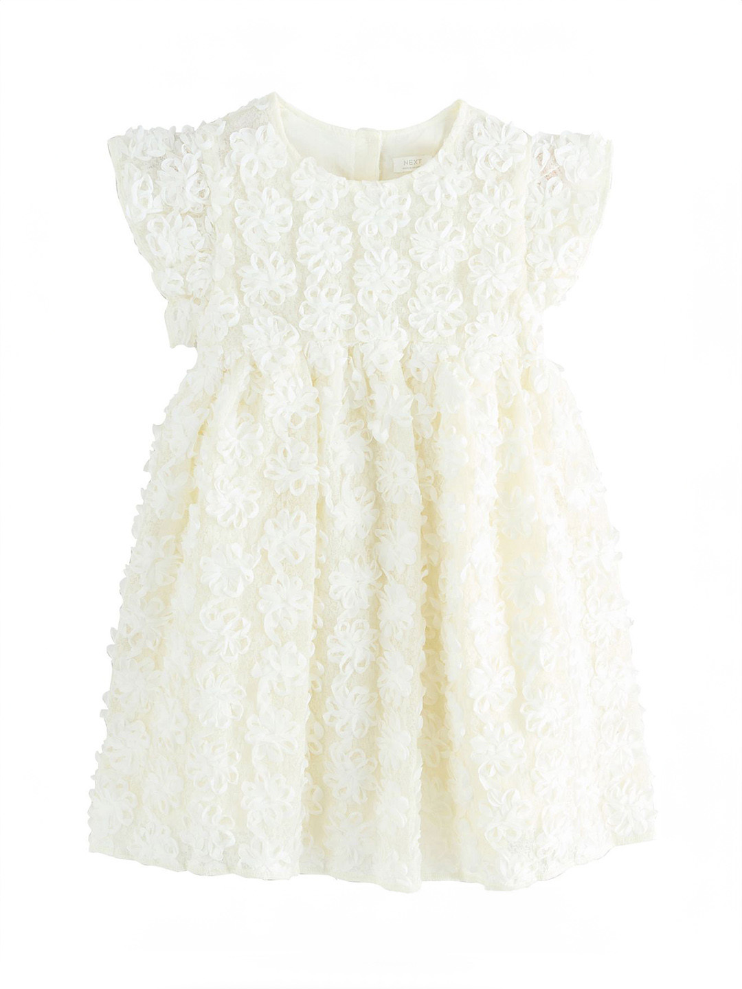 NEXT Girls Floral Applique Lace Fit & Flare Dress