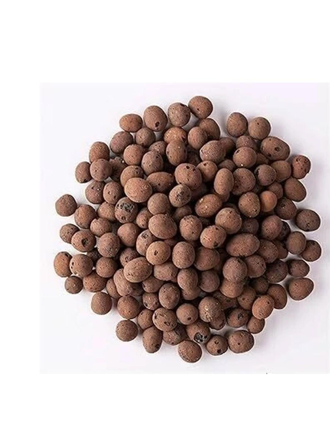 ASTRO-D Mitti Ki 7 Jagah Ki Goliya 100 (1 Packet)