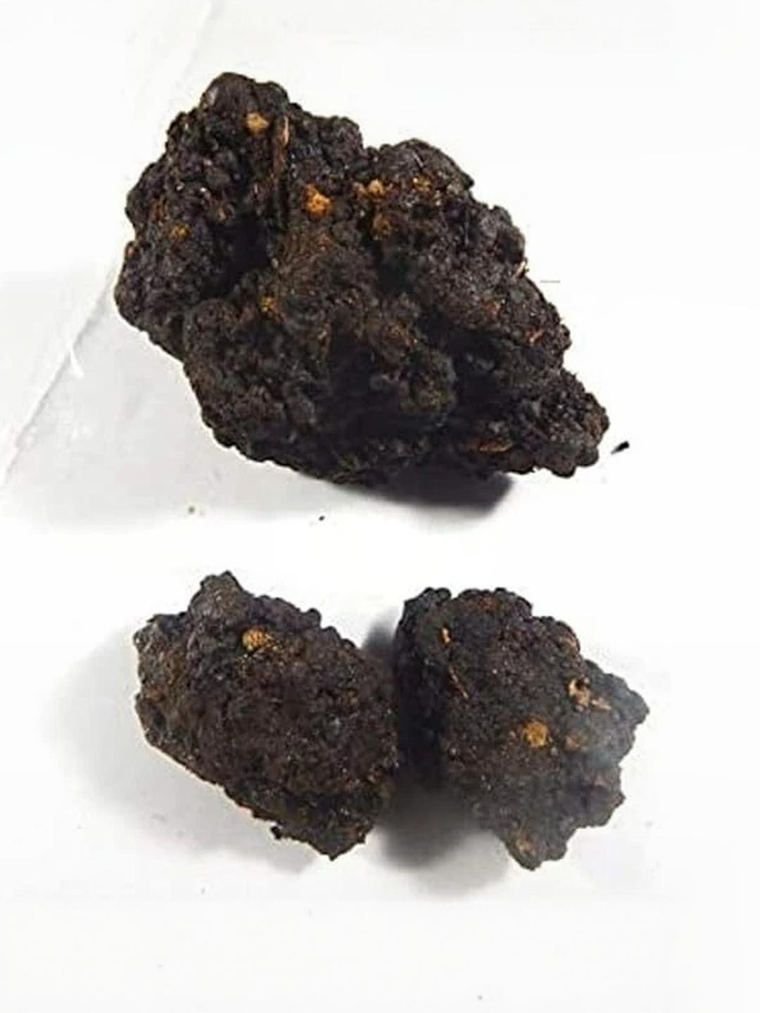 ASTRO-D Brown Showpiece