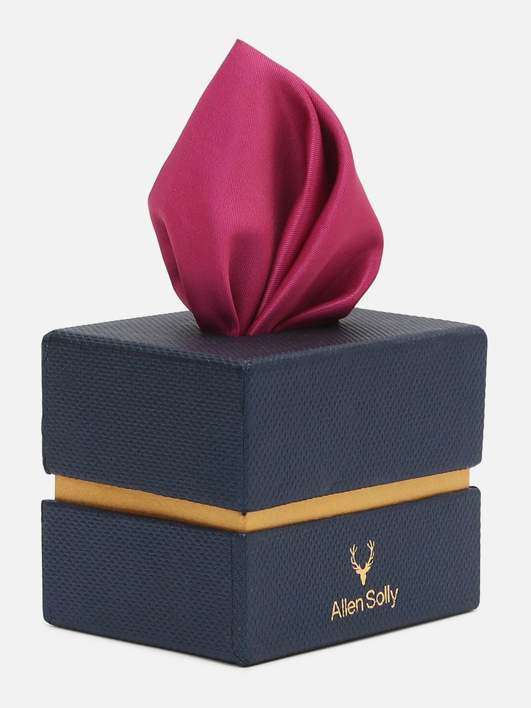 Allen Solly Men Party Pocket Square