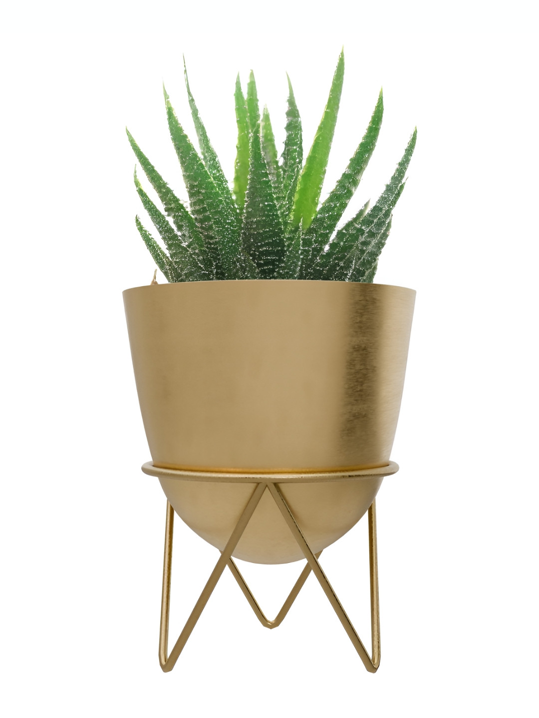 Lifelong Brown Glossy Desktop Steel Plant Stand