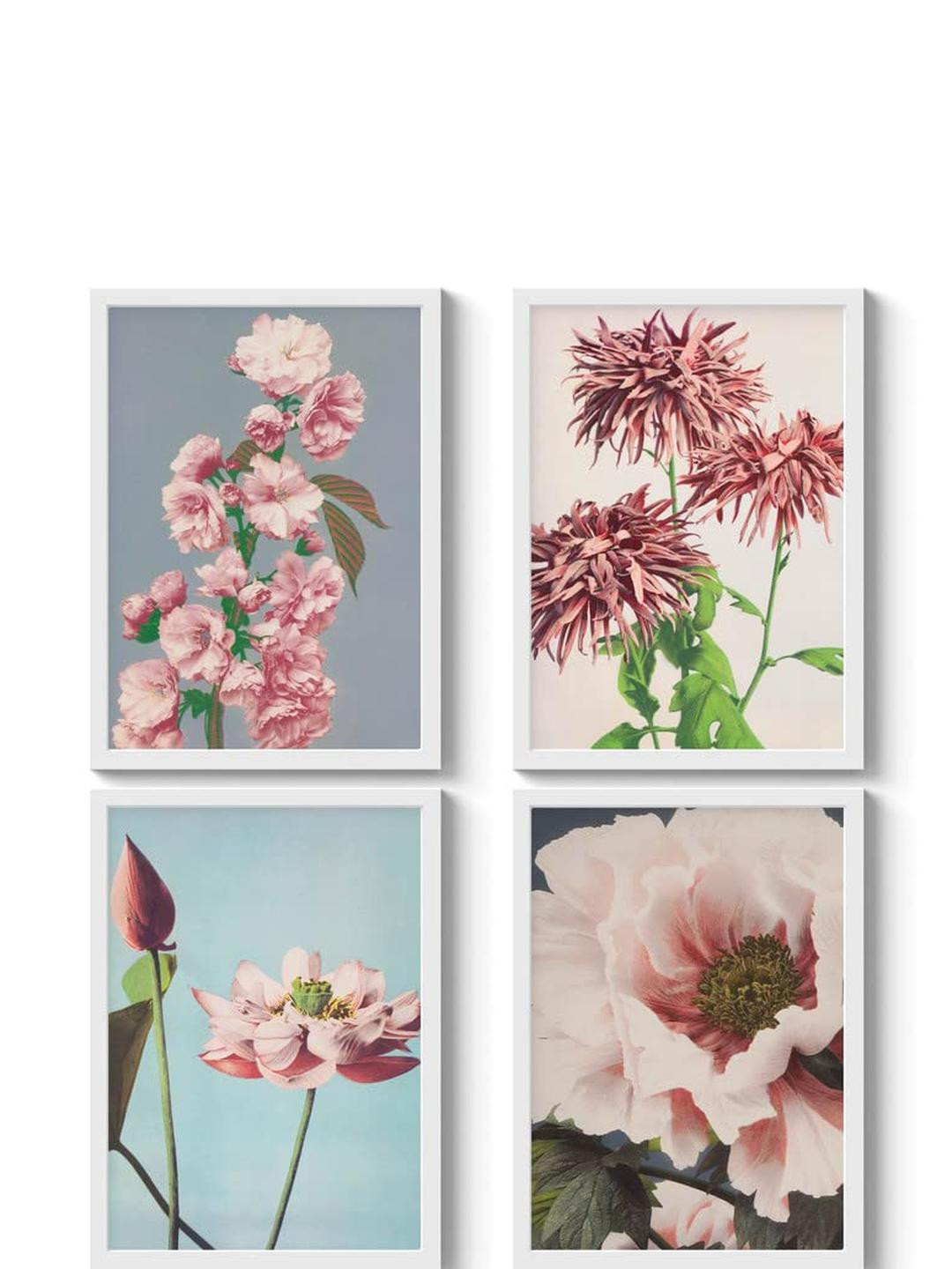 TAGVE Set of 4 Floral and Botanical Canvas Paintings With White Frame