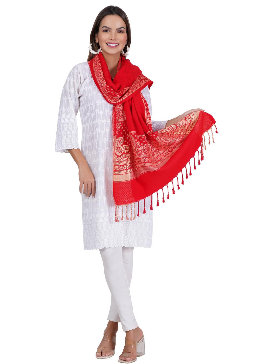 Fabture Women Ethnic Motifs Woven Design Shawl