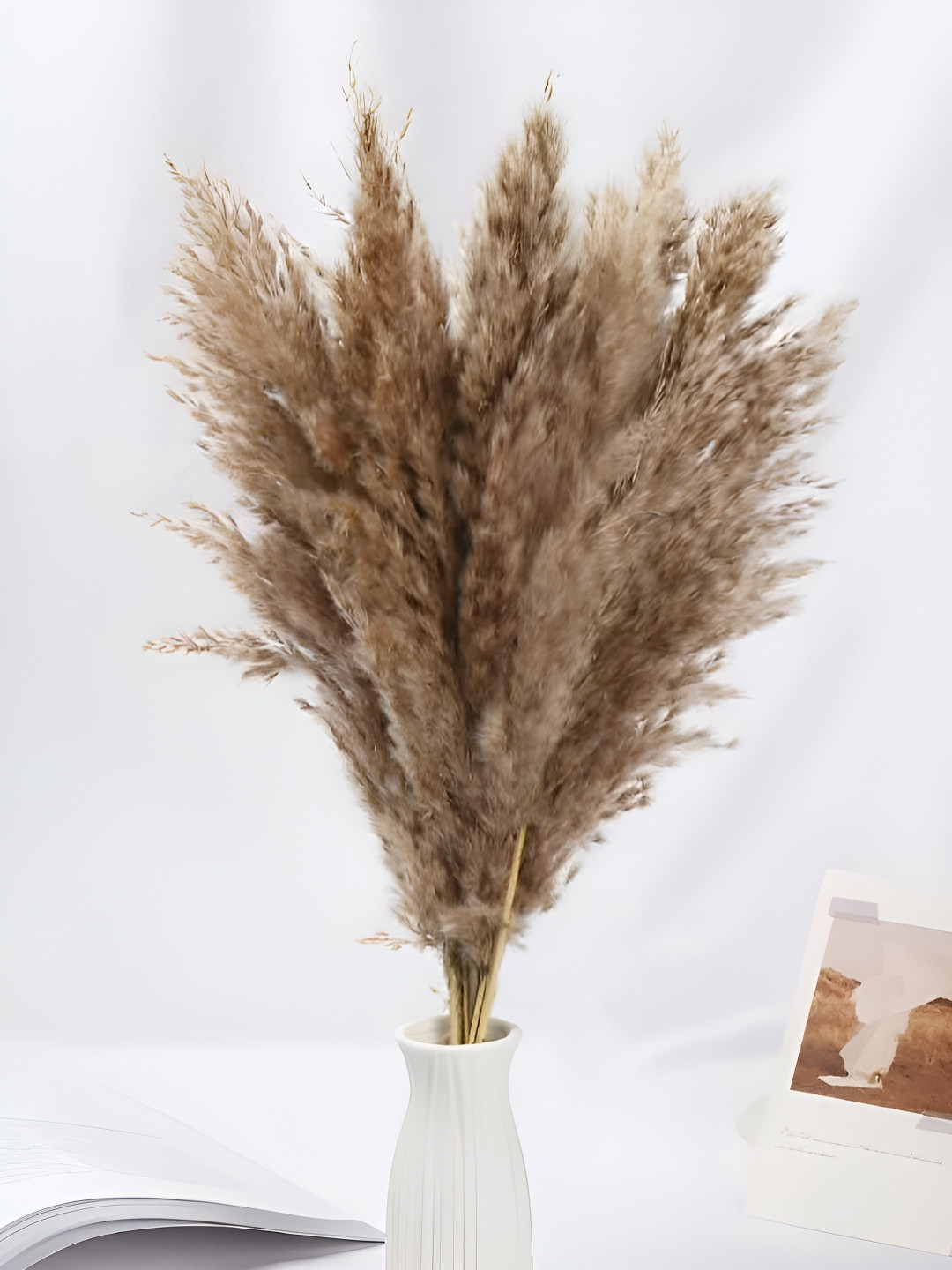 Art Street Brown 20 Pieces Pampas Grass Dried Flower Stems