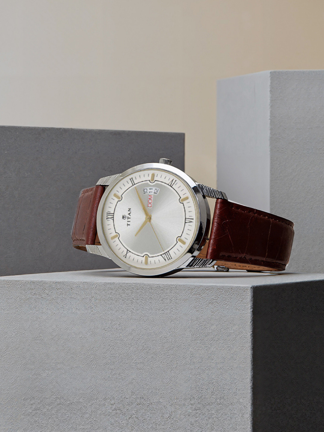 Titan Karishma Gents Men Silver Analogue watch NL1774SL01