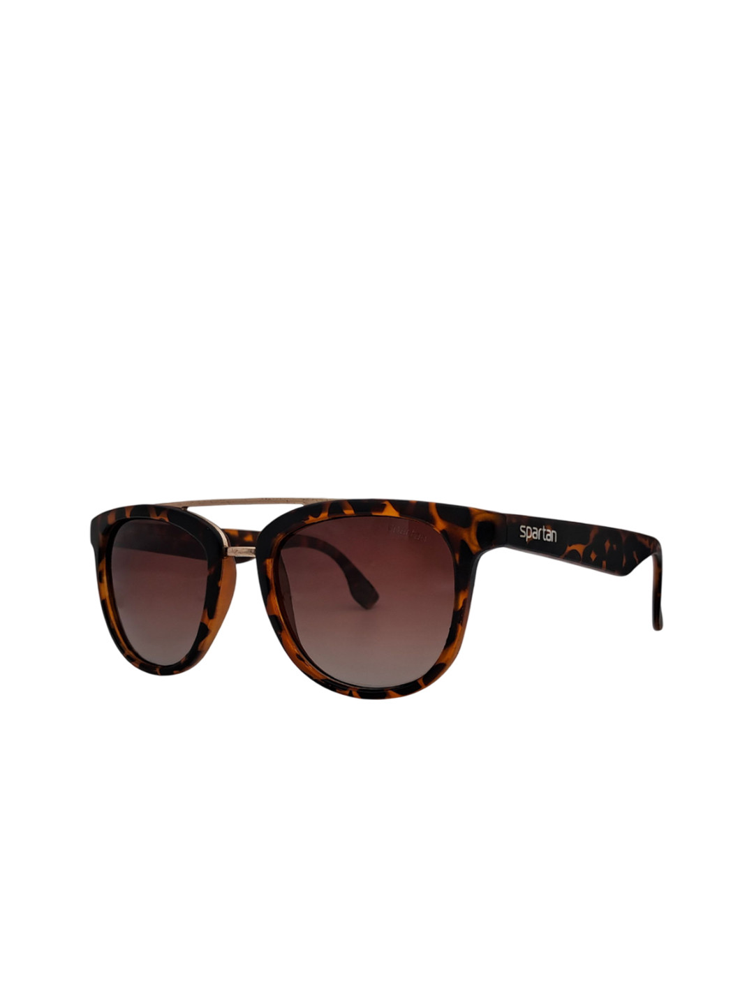 Spartan Men Brown Lens & Brown Aviator Sunglasses SPS014 C171