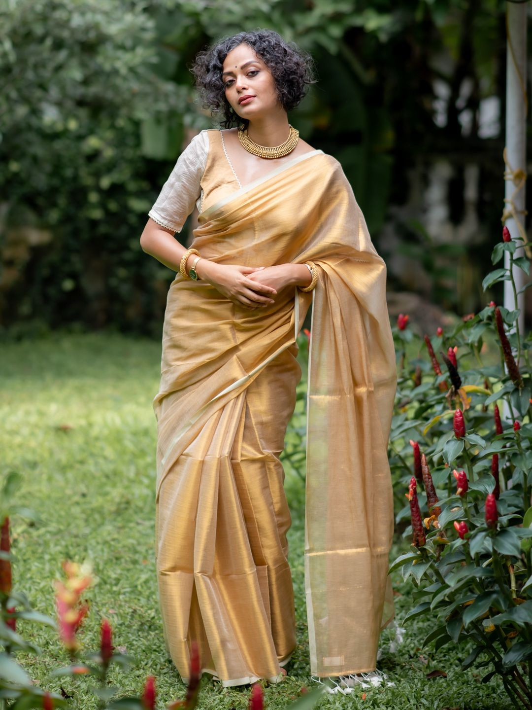 Suta Gold Tissue Saree With Tasselled Border