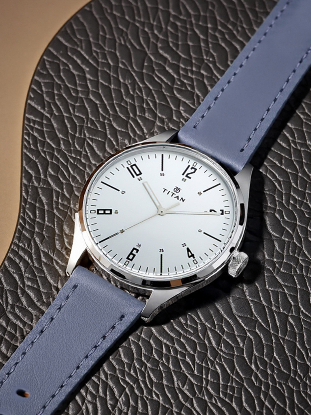 Titan Men Silver-Toned Analogue Leather Watch 1802SL02