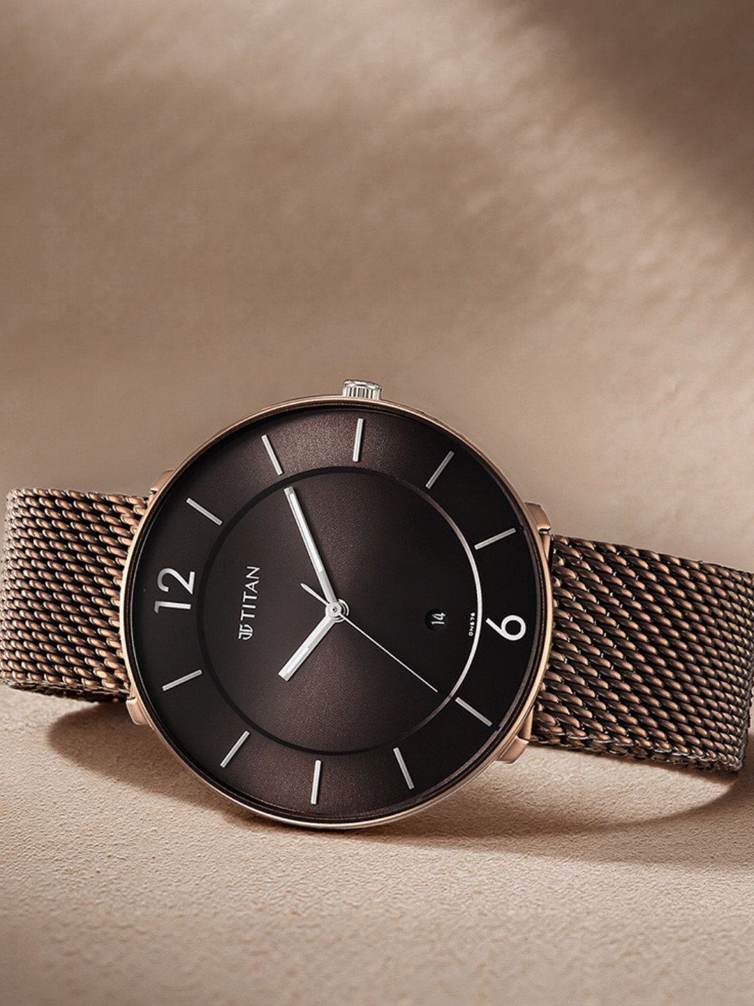 Titan Men Classique Braided Analogue Watch 1849KM04