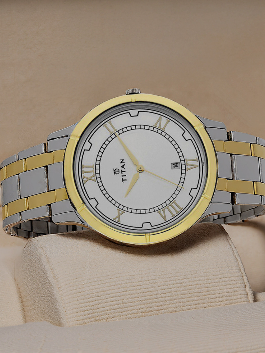 Titan Men Silver-Toned Analogue Watch 1775BM01