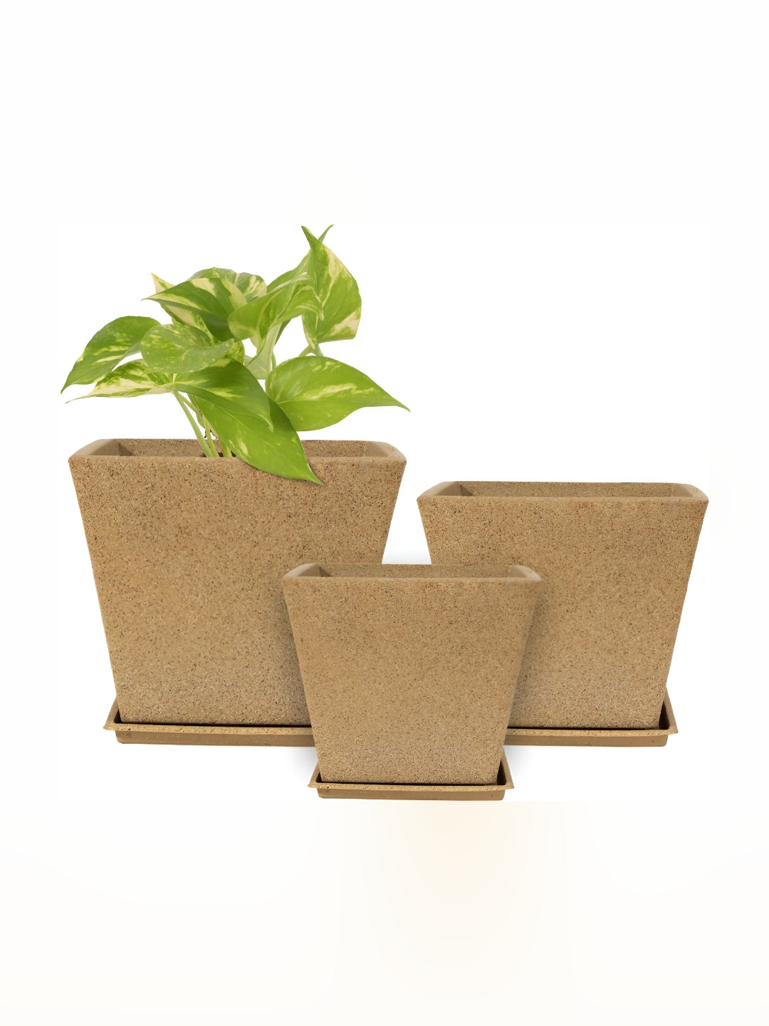 GARDEN'S NEED Unisex Set of 3 Textured Weather Resistance Jaguar Greece Pot Planters