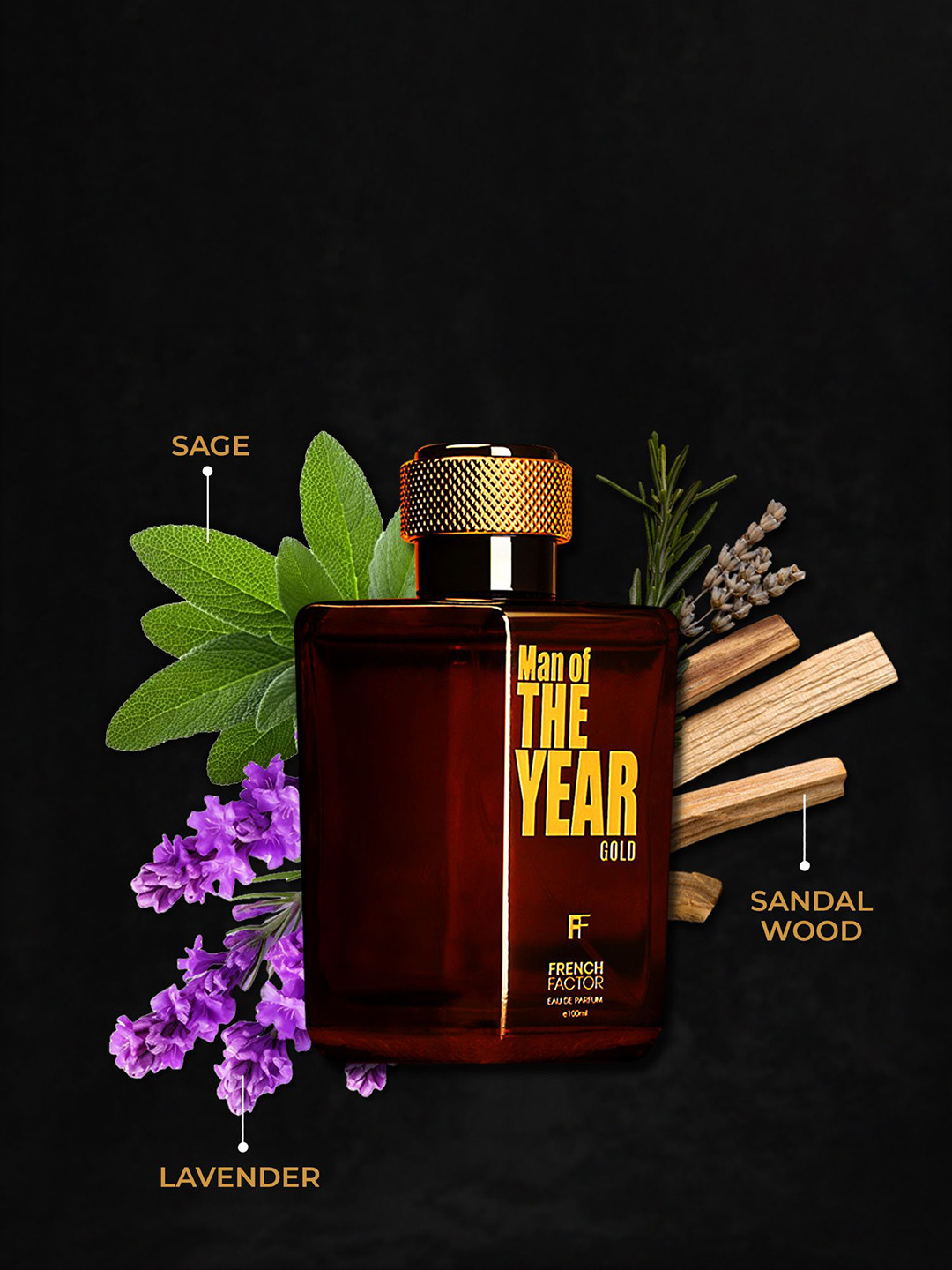 French Factor Man Of The Year Gold Long Lasting Eau De Parfum - 100 ml