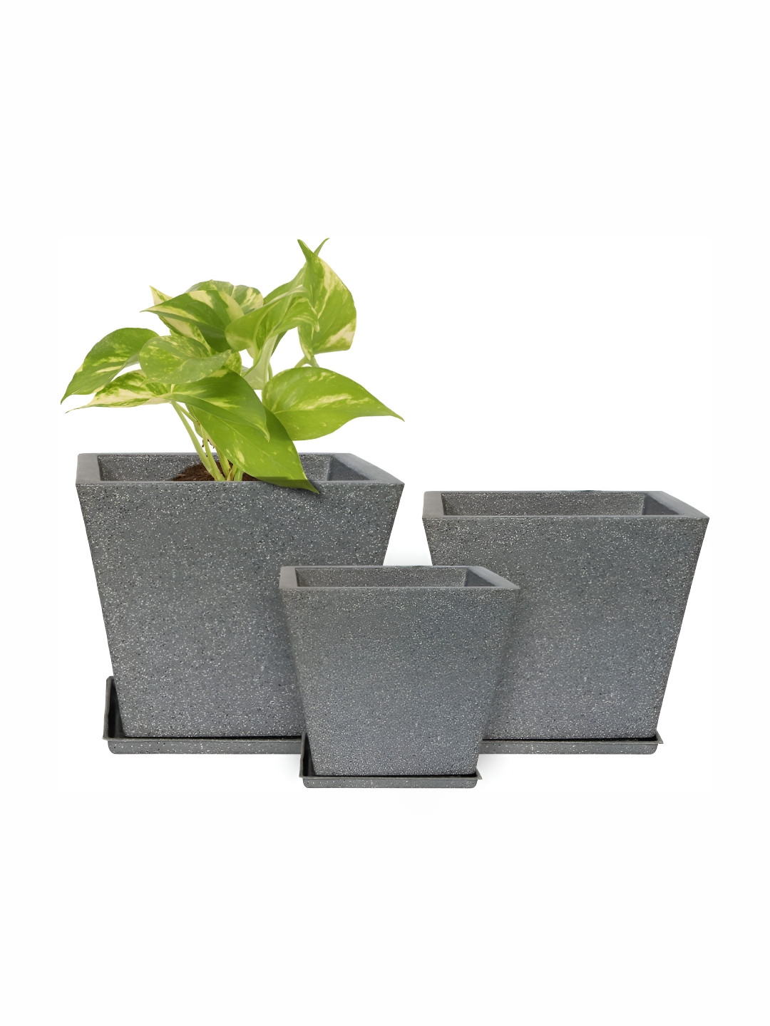 GARDEN'S NEED Set of 3 Black Weather Resistance Jaguar Greece Pot Planters With Tray