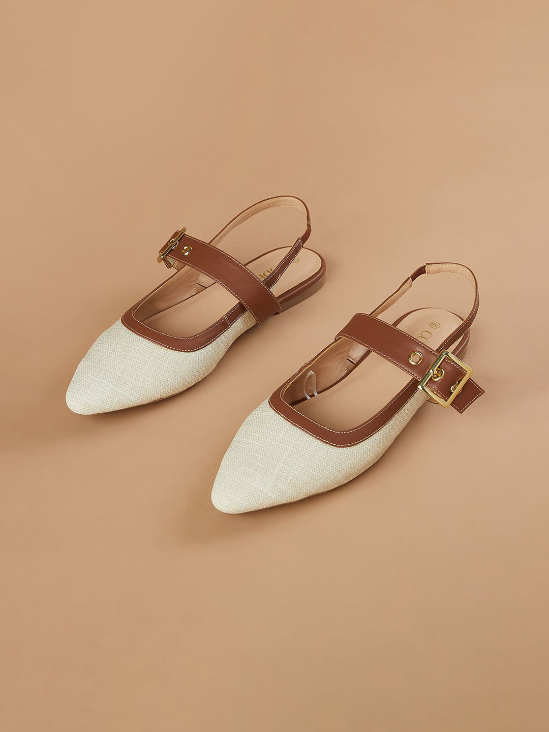 CODE by Lifestyle Women Colourblocked Pointed Toe Monks with Buckles