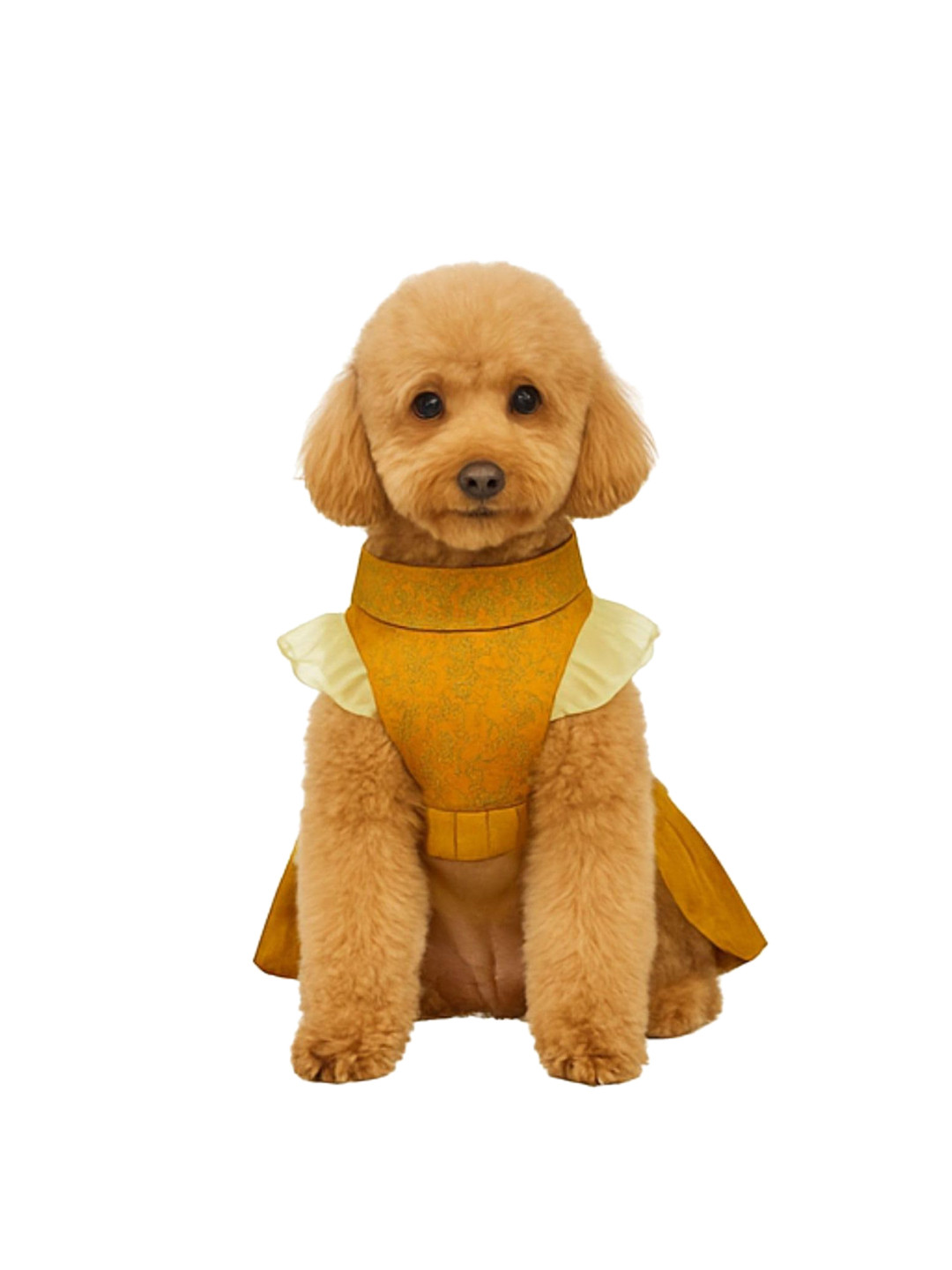Lulala Printed Ruffled Sleeves Female Dog Dresses