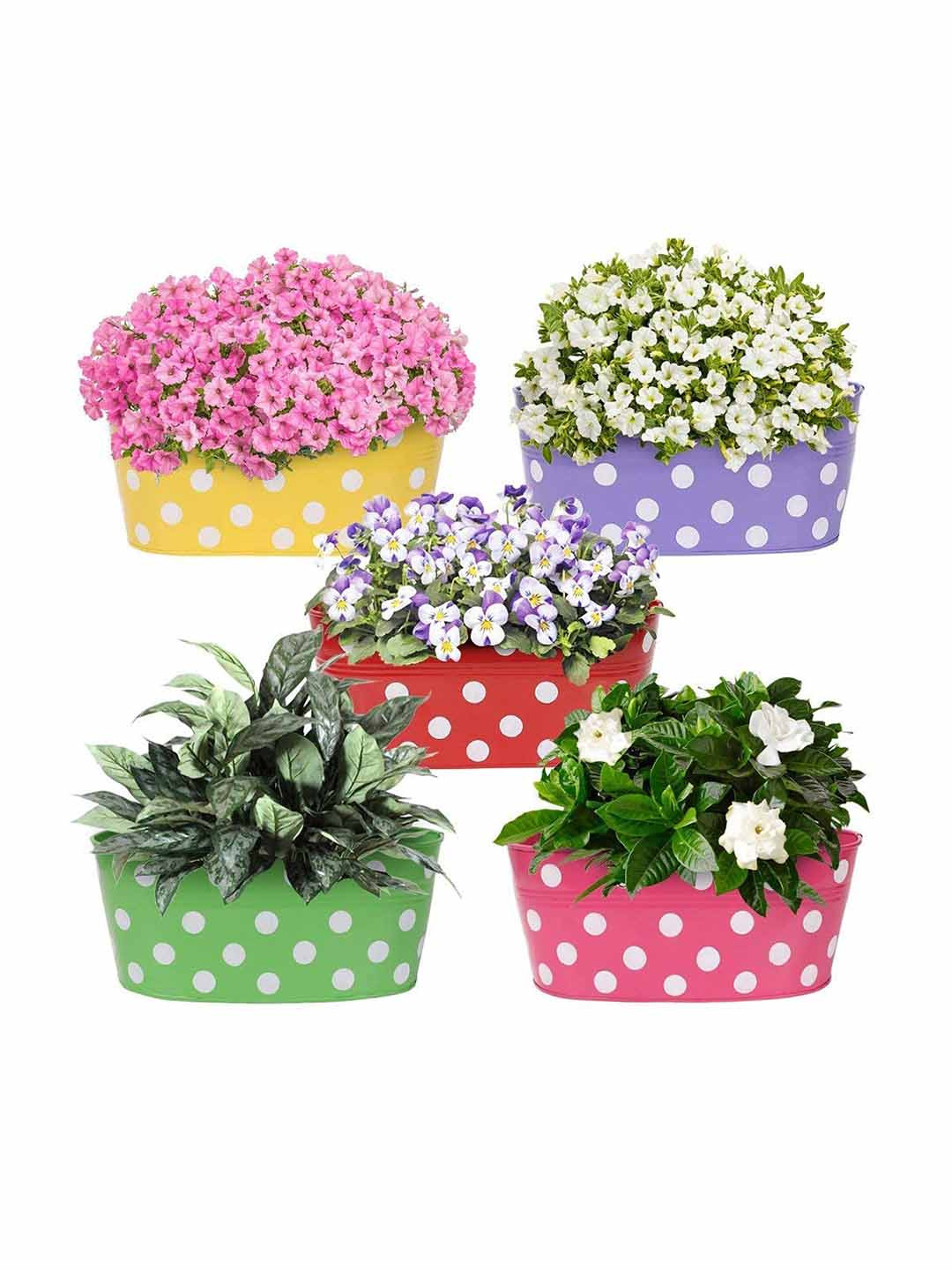 Go Hooked Pack of 5  Metal Dotted Planters for Garden Balcony Hanging Flower Pot