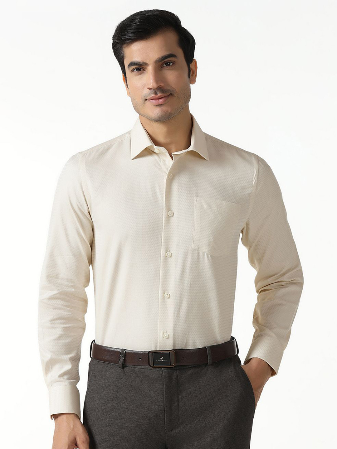 Blackberrys Indian Slim Fit Spread Collar Cotton Formal Shirt