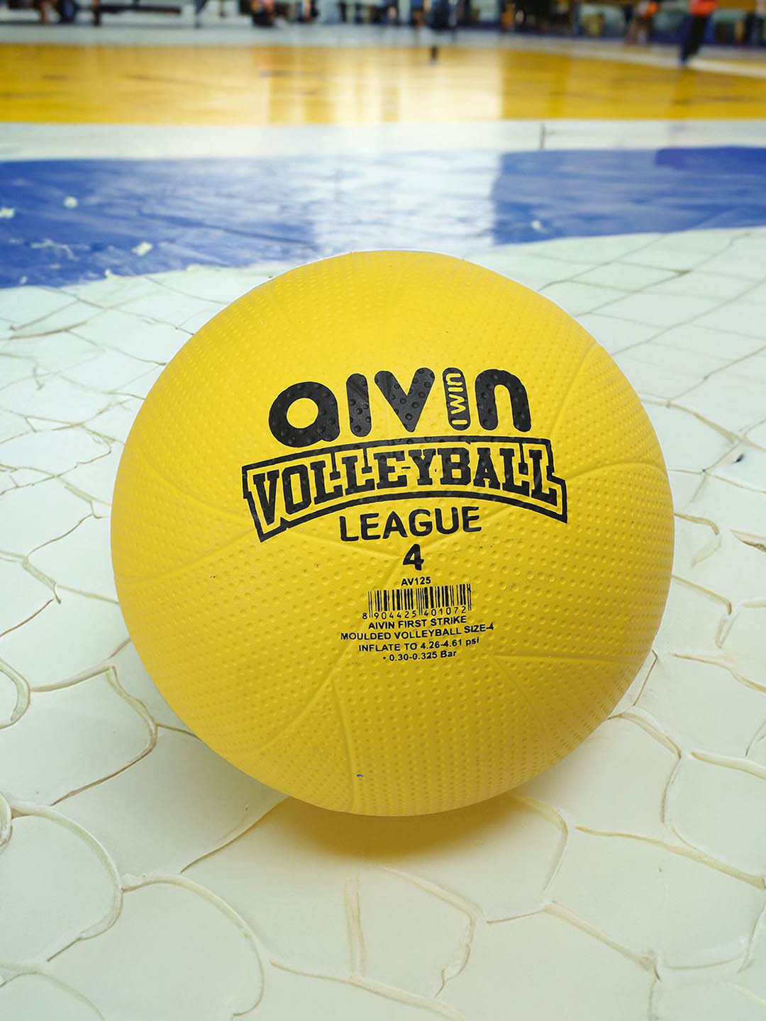 Aivin Firststrike Printed Volleyballs