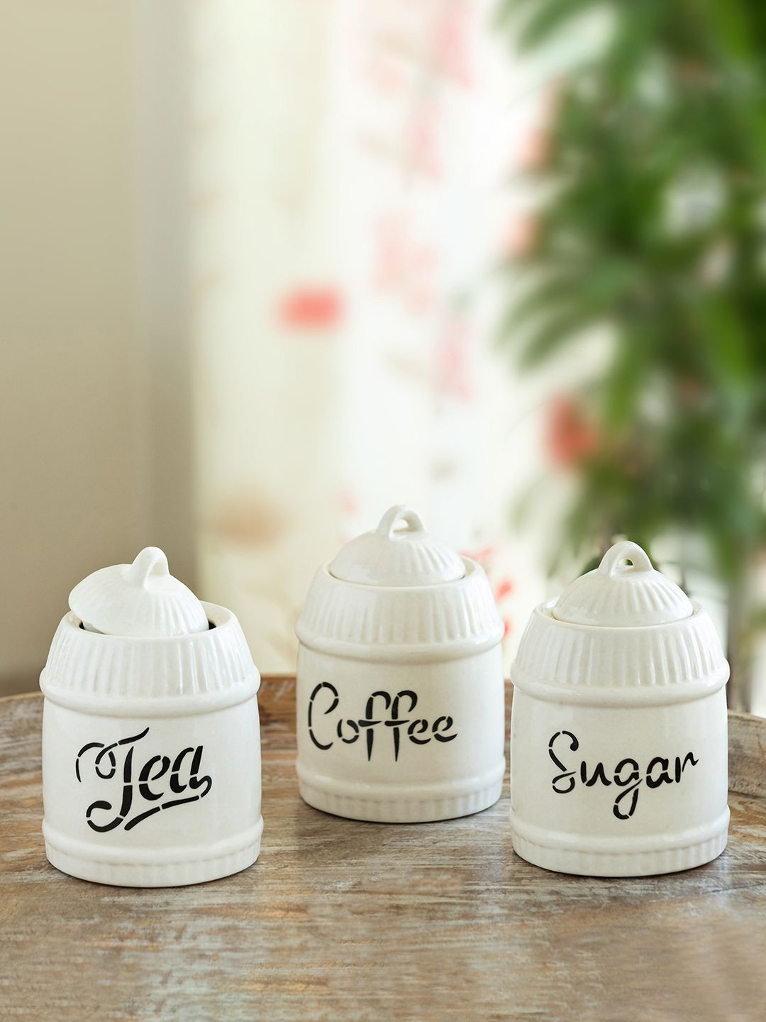 ExclusiveLane Jar & joy White 3 Pieces Ceramic Containers