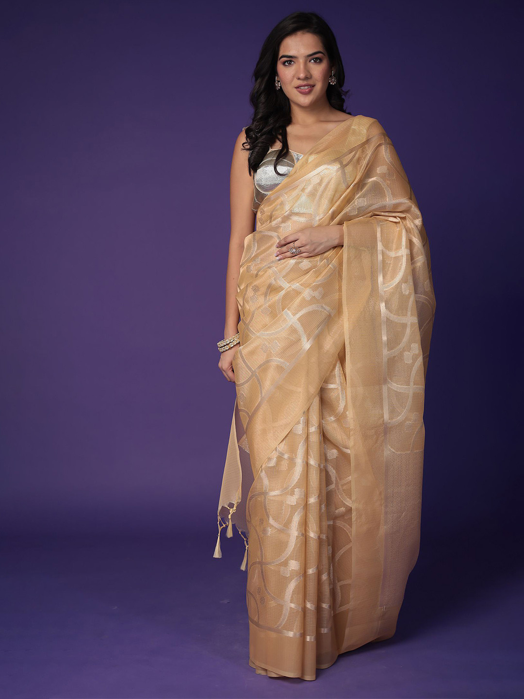 ZARI Zari Jaipur Tissue Saree with Banarasi Texture