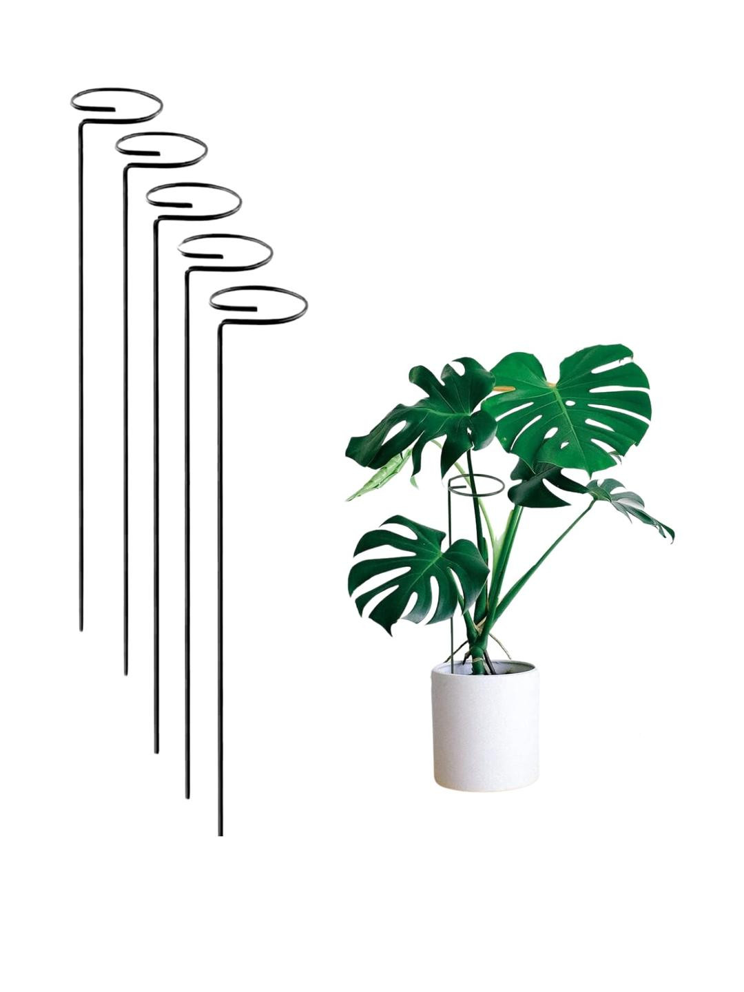 Go Hooked Black 5 Pieces Metal Plant Stakes