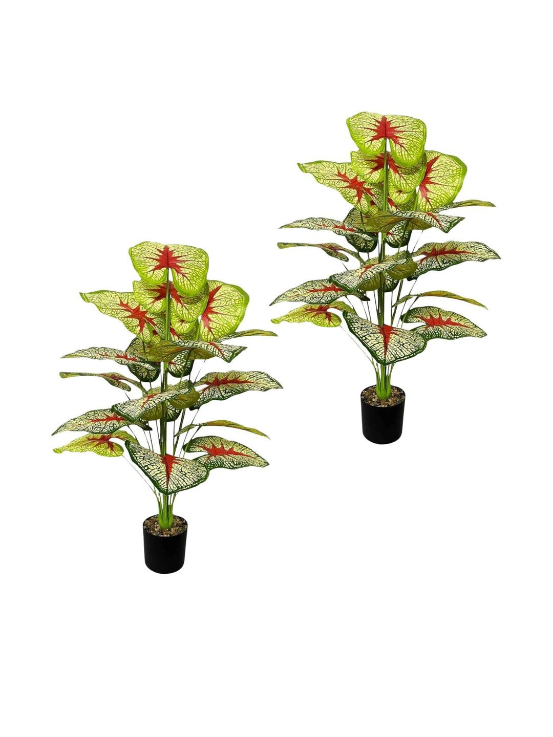 Go Hooked Pack of 2 Artificial Monstera Plant with complimentary nursery pot