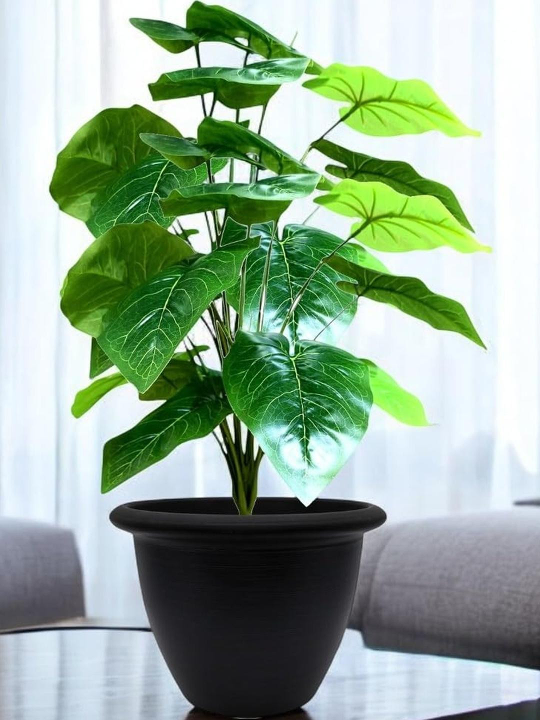 Go Hooked Pack of 2 Decorative Green Artificial Alocasia Plants with Pot for Home Decor