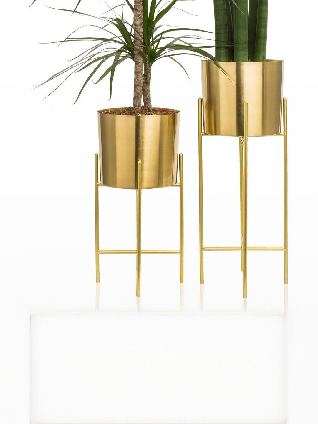 Inshreys Set of 2 Gold-Plated Planter For Indoor