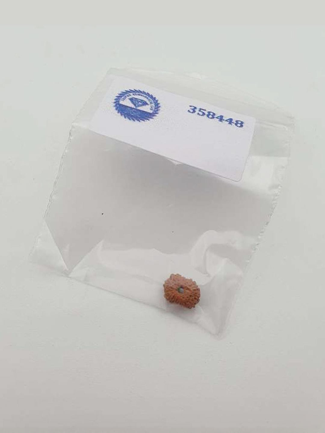 Natural 13 Mukhi Indonesia Rudraksha Bead For Men Women,Original Lab Certified Indonesia Origin Thirteen Mukhi Rudraksha Locket For Neck,13 Face Gol Dana Brown Color Rudraksha