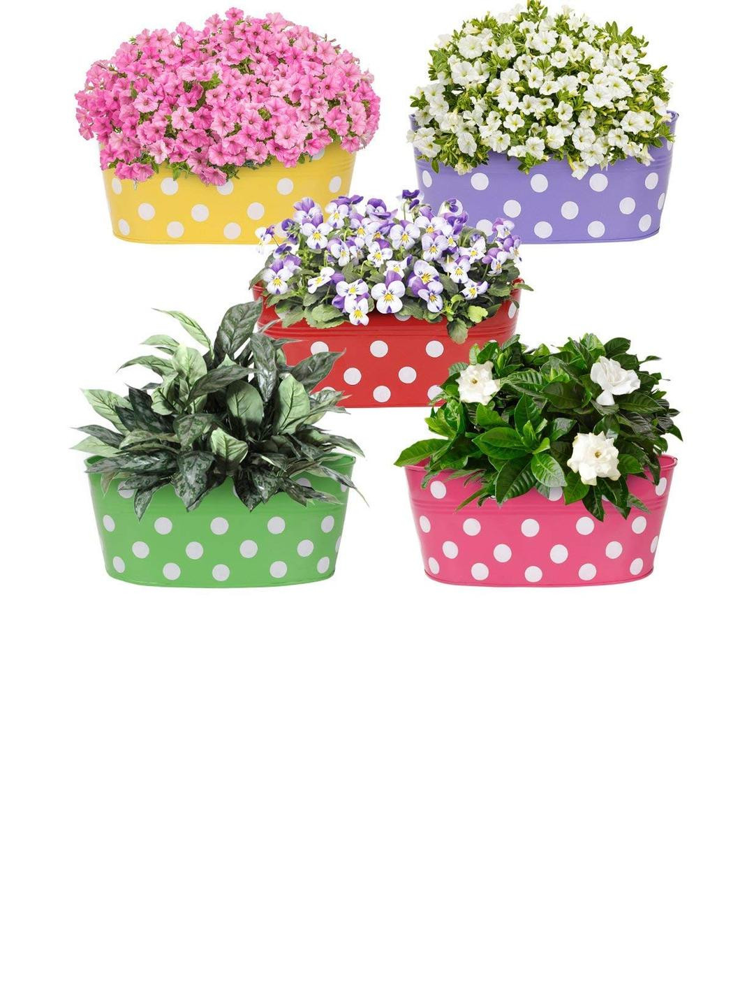 Go Hooked Metal Hanging Planter | Metal Railing Planter 12 Inch | Set of 5