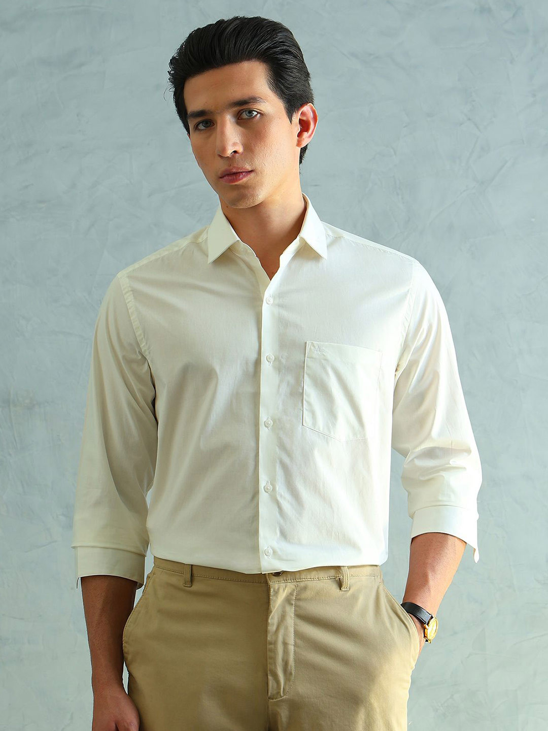 Arrow Men Slim Fit Smart Formal Shirt