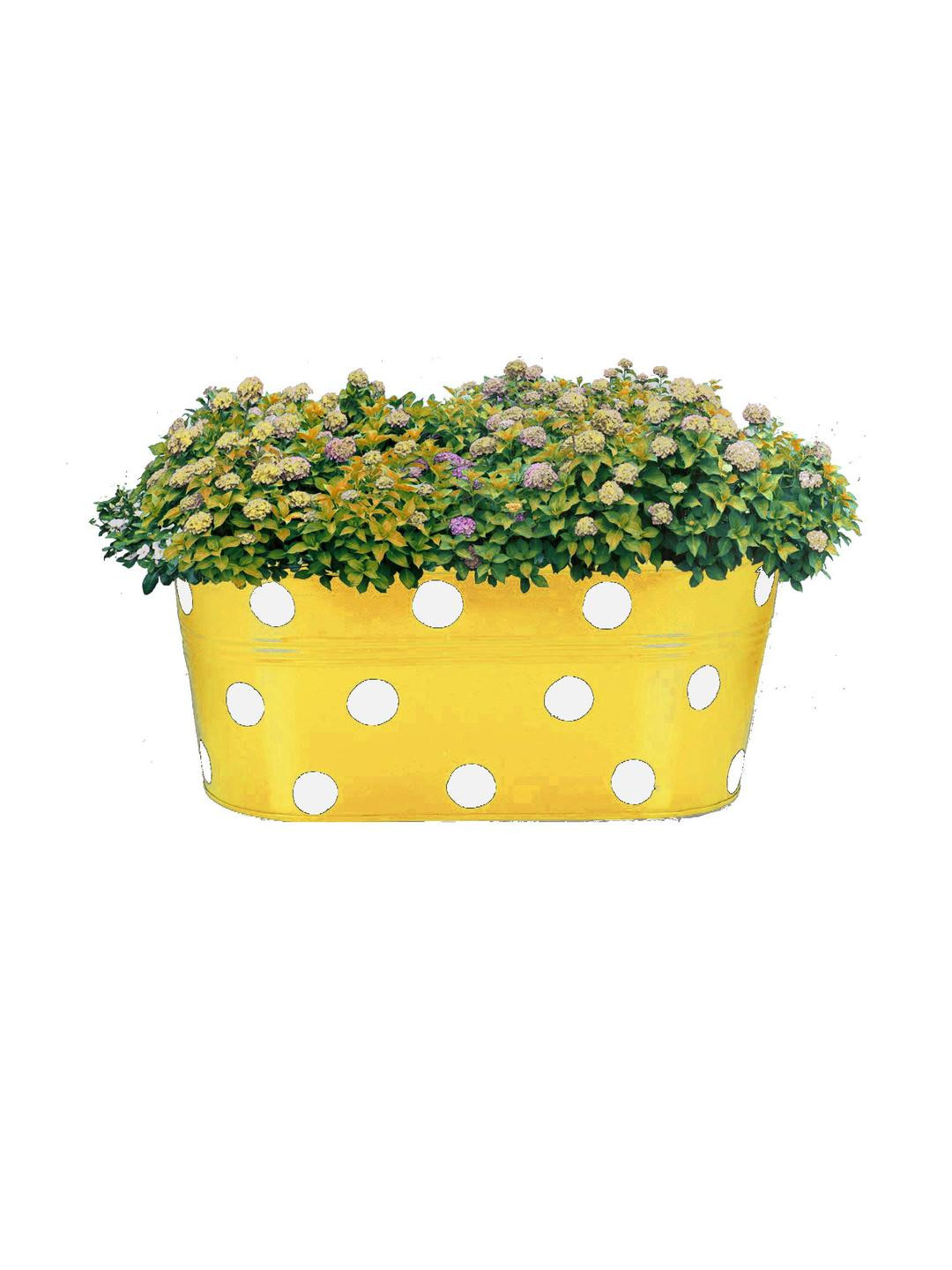 Go Hooked Metal Hanging Planter Metal Railing Planter (12 Inch, Yellow)