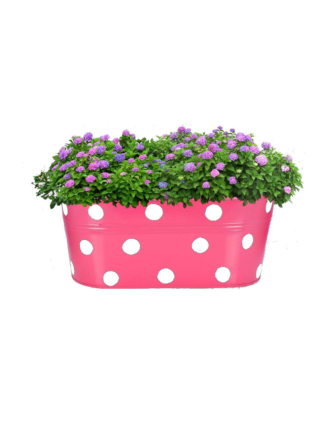 Go Hooked 12 Inch, Pink Polka Dot Printed Metal Hanging Planter