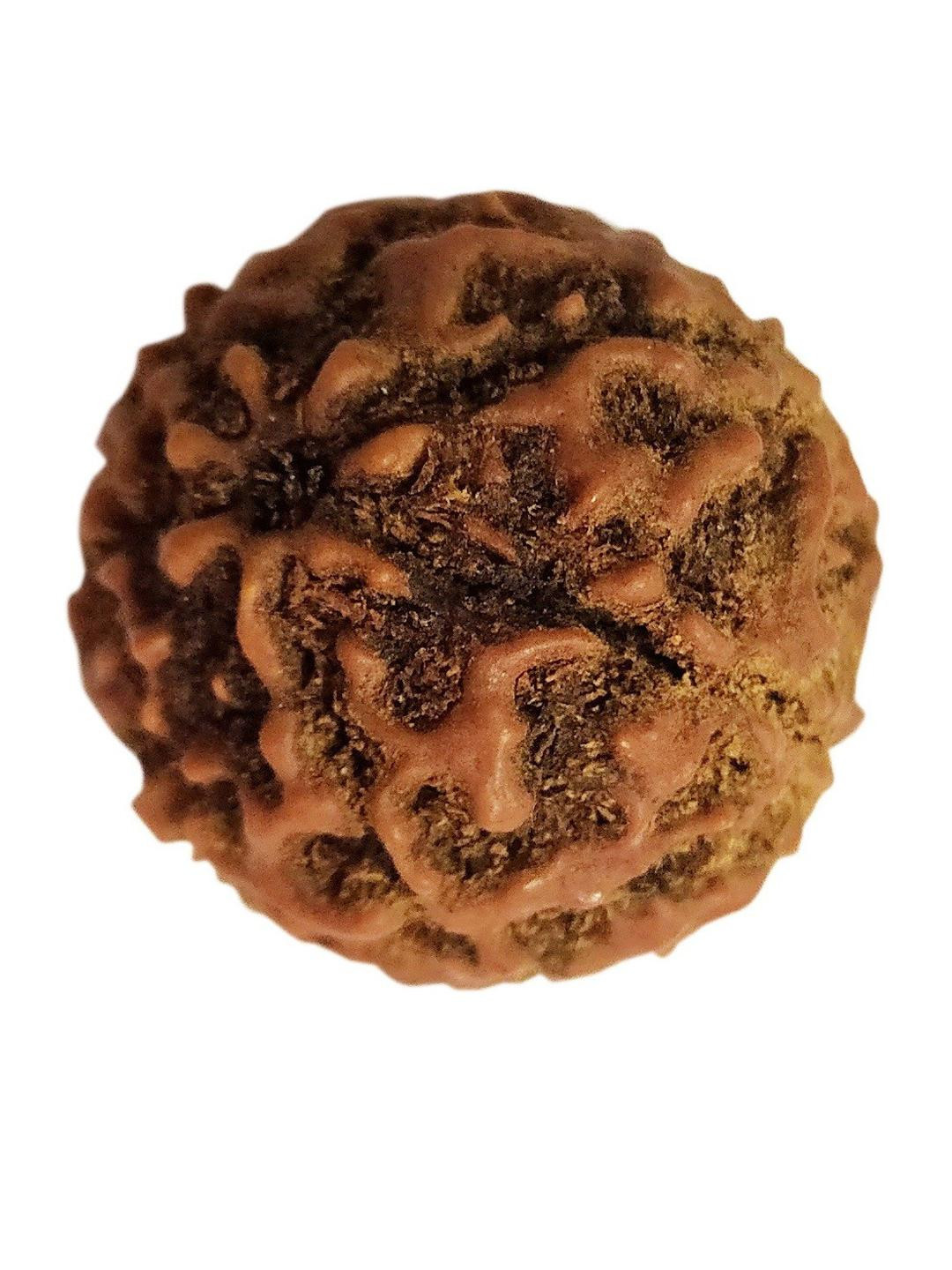 RAVIOUR LIFESTYLE Circular Wood Rudraksha Pendant