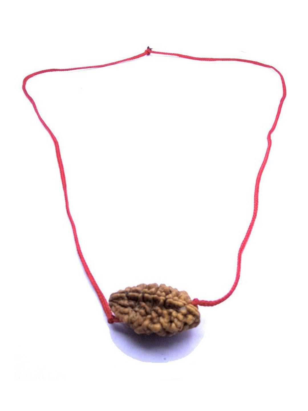 RAVIOUR LIFESTYLE Unisex Rudraksha Chain with thread