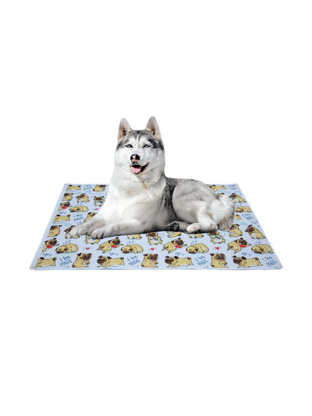 AAZEEM Soft Light Weight Printed Pets Mat