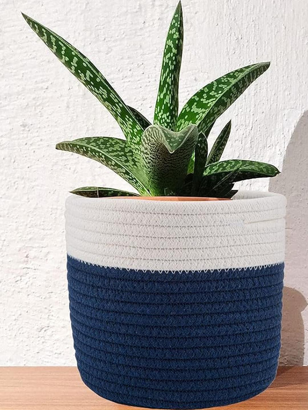 Inshreys Cotton Rope Indoor Planters