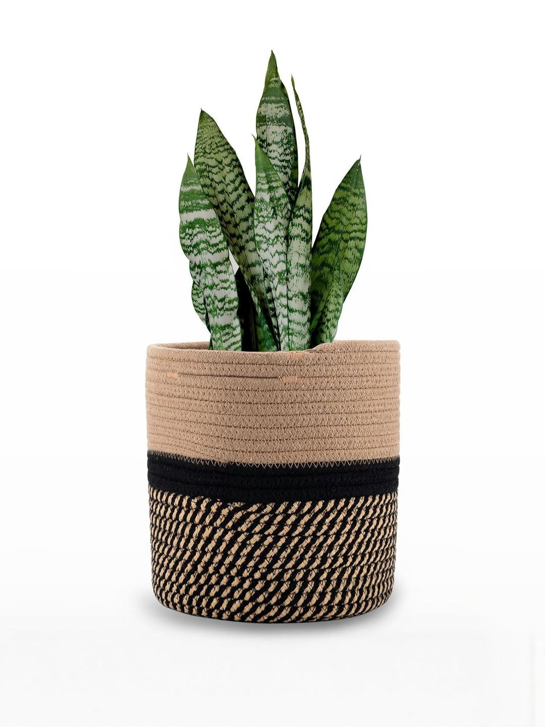Inshreys Decorative Cotton Rope Plant Basket Modern Woven Pot For Indoor
