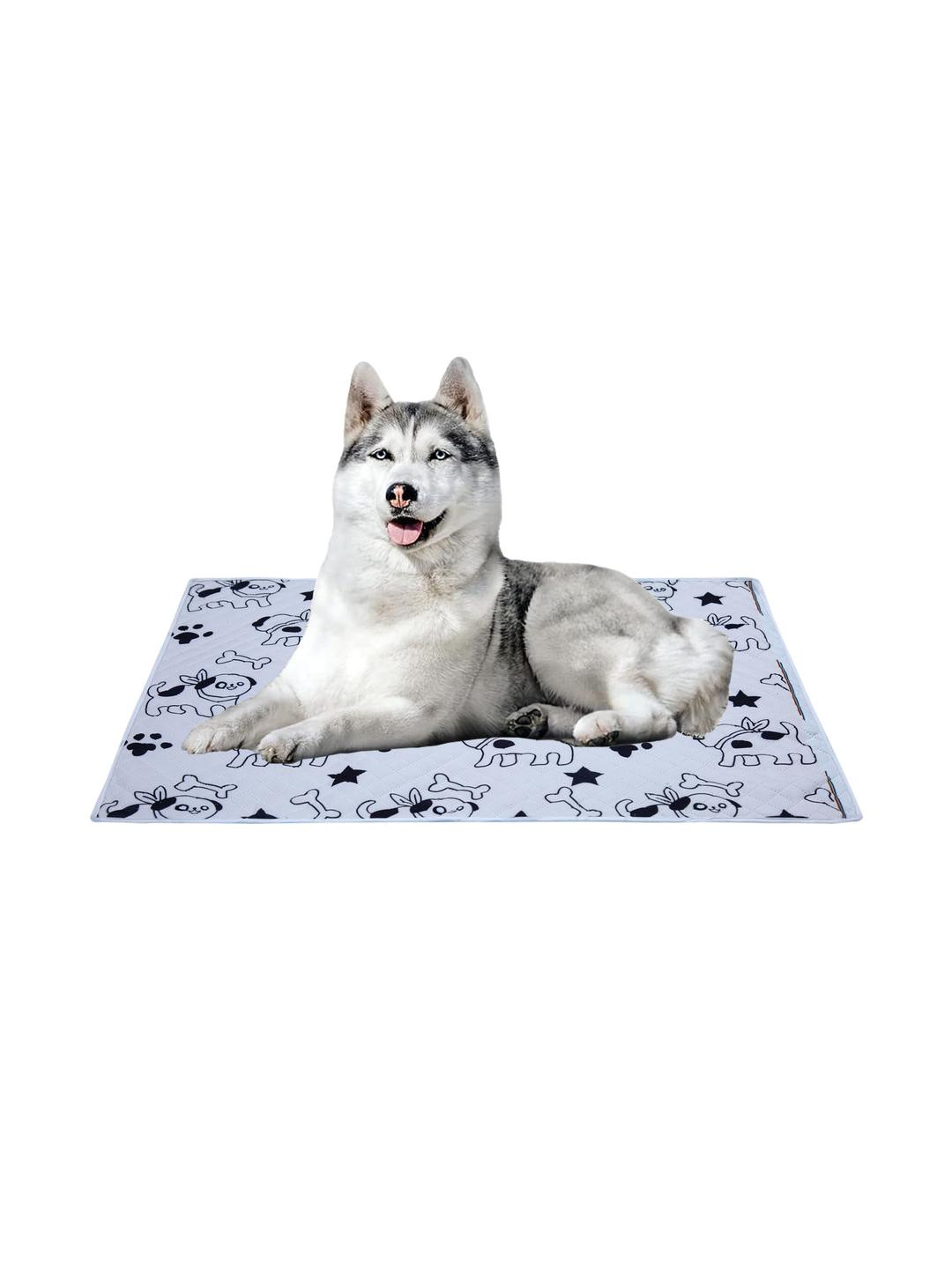 AAZEEM Water Resistant Soft Light Weight Mat