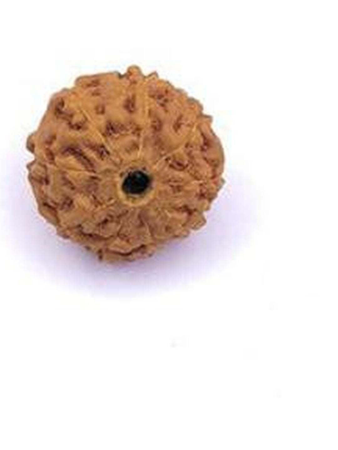 RAVIOUR LIFESTYLE Circular Wood Rudraksha Pendant