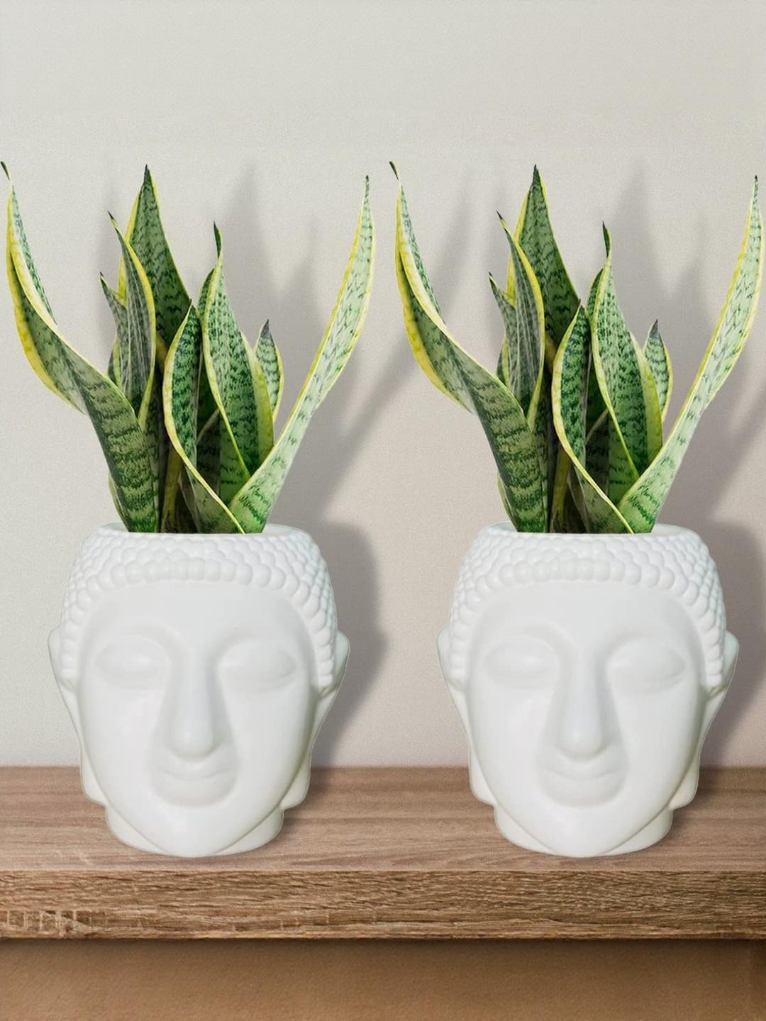 Go Hooked Multicolor Set of 2 Plastic Buddha Plant Pots for Home and Office Decor